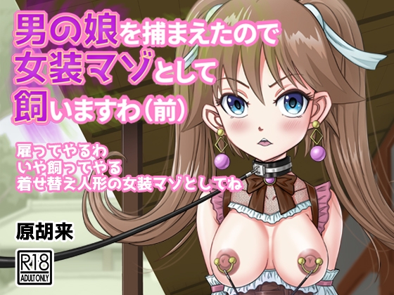 RJ01151783 img main - 男の娘を捕まえたので女装マゾとして飼いますわ(前)