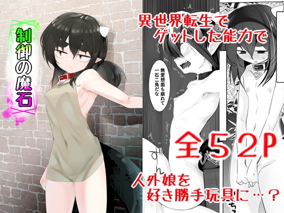 RJ01164377 img main - 制御の魔石