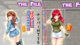 RJ01230632 img main 160x90 - BattleHeroine The File V7 ナンバーHT15・HT20・HT25