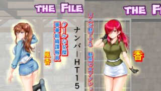 RJ01230632 img main 320x180 - BattleHeroine The File V7 ナンバーHT15・HT20・HT25