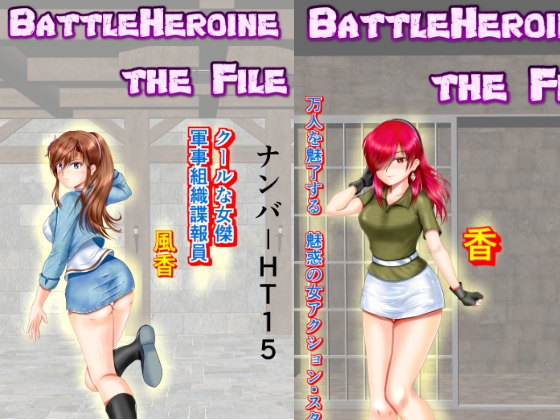 RJ01230632 img main - BattleHeroine The File V7 ナンバーHT15・HT20・HT25