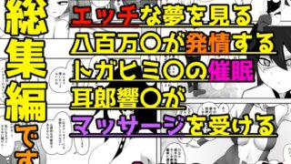 RJ01246841 img main 320x180 - ヒロア〇総集編02