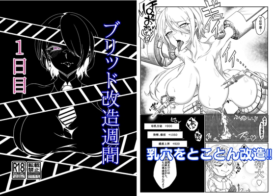 RJ01323664 img main - ブ●ッド改造週間1日目