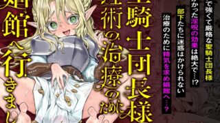 RJ01342701 img main 320x180 - 聖騎士団長様は婬術の治療のために娼館へ行きました