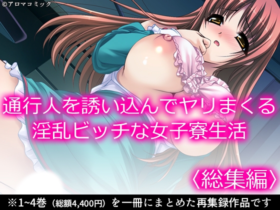 RJ01394158 img main - 通行人を誘い込んでヤリまくる淫乱ビッチな女子寮生活 <総集編>