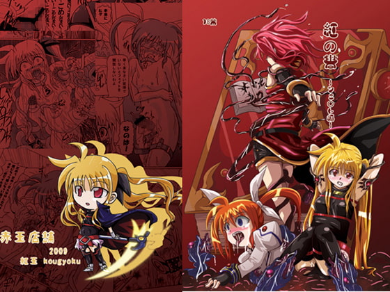 RJ046341 img main - 紅の書～フェ○ト編