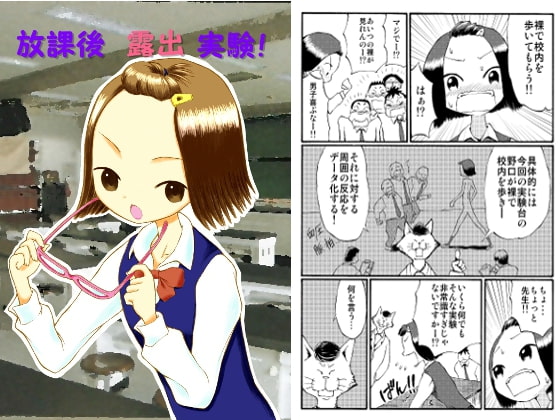RJ083465 img main - 放課後露出実験!