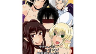 RJ102968 img main 320x180 - サキュバスシリーズ総集編16→20