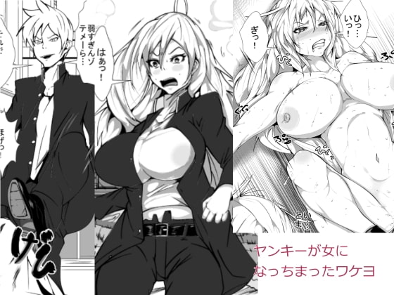 RJ124730 img main - ヤンキーが女になっちまったワケヨ