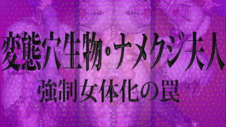 RJ125358 img main 320x180 - 変態穴生物・ナメクジ夫人 強○女体化の罠