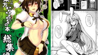 RJ138041 img main 320x180 - 東方projectの本 総集編