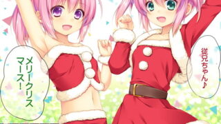 RJ151120 img main 320x180 - 従姉妹の双子とクリスマス。
