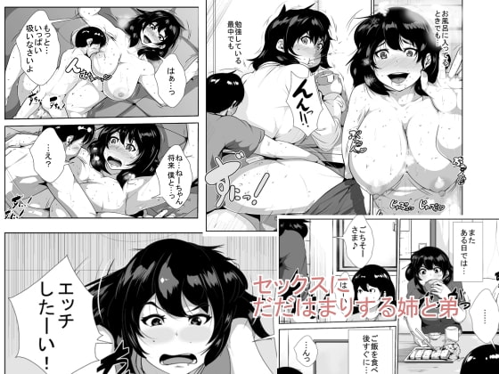 RJ152416 img main - セックスにだだはまりする姉と弟
