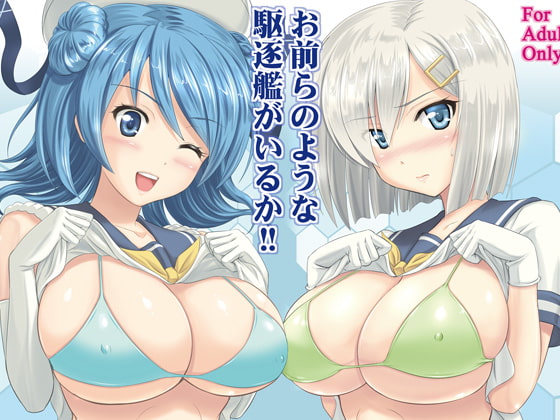 RJ178002 img main - お前らのような駆逐艦がいるか!!
