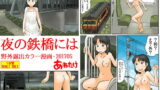 RJ201343 img main 160x90 - 夜の鉄橋には