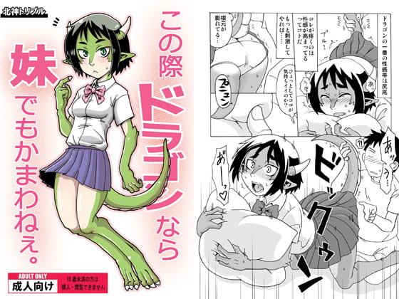 RJ201498 img main - この際ドラゴンなら妹でもかまわねぇ。