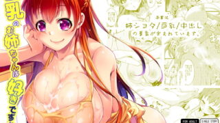 RJ207375 img main 320x180 - 巨乳のお姉さんは好きですか?DREI