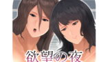 RJ230300 img main 160x90 - 欲望の夜