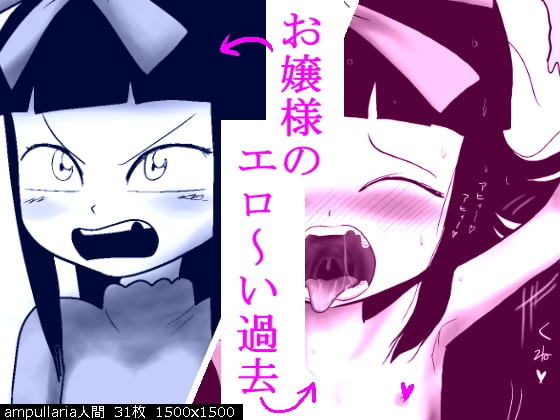 RJ245105 img main - お嬢様のエロ～い過去
