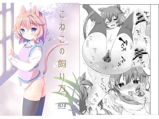 RJ245741 img main - こねこの飼い方