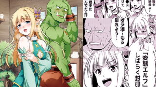 RJ254576 img main 320x180 - 変態エルフと真面目オークの日常