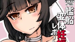 RJ287251 img main 320x180 - 艦船変体妊娠レポート