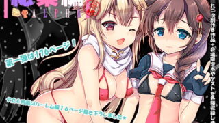 RJ287283 img main 320x180 - 艦○れ総集編ALPHA