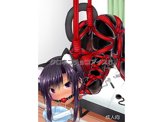 RJ312942 img main - クロネコチョコアイス6