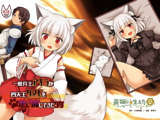 RJ367300 img main - 一般兵士アキラが四天王タマモを使い魔にできたワケ