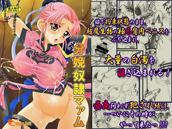 RJ042167 img main - 分娩奴○マァム